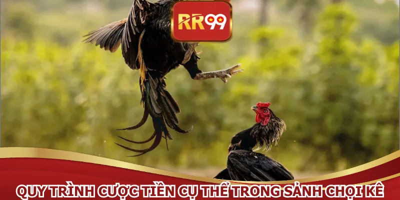Quy trình cược tiền cụ thể trong sảnh chọi kê
