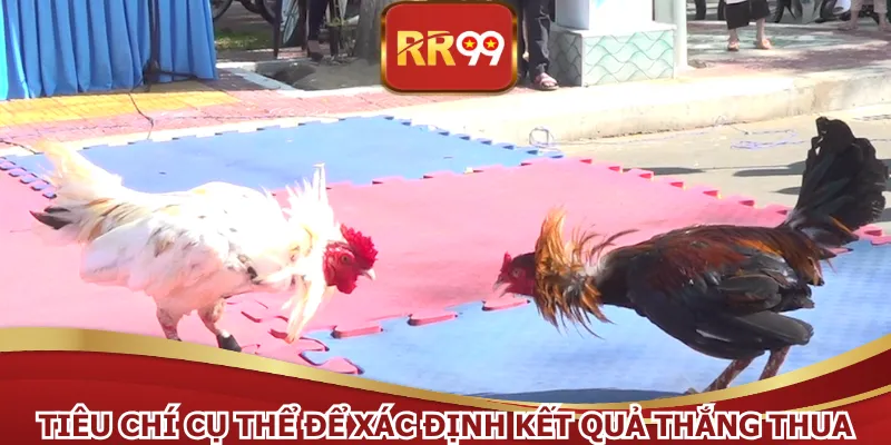 Tiêu chí cụ thể để xác định kết quả thắng thua